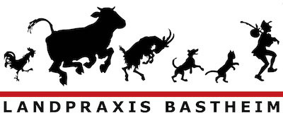 logo text 400px